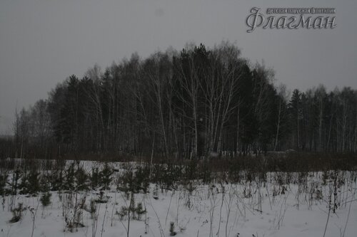 _MG_4803_r